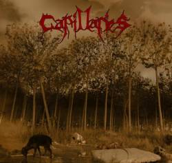 Capillaries : A Genocide of Sins with Victims it Created